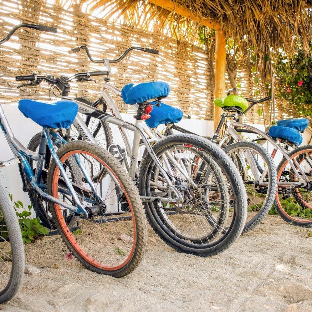 La Ventana - Palapas 2026