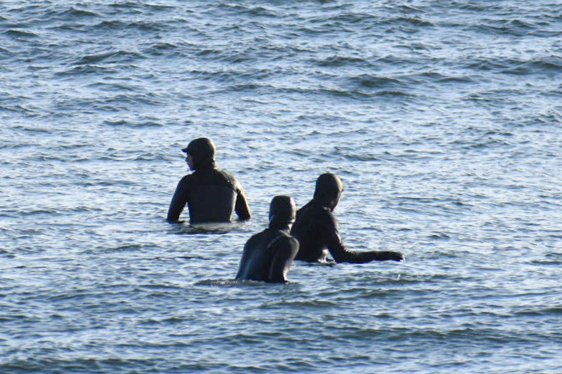 COVID, Crowds, & Cooperation - Urban Surf