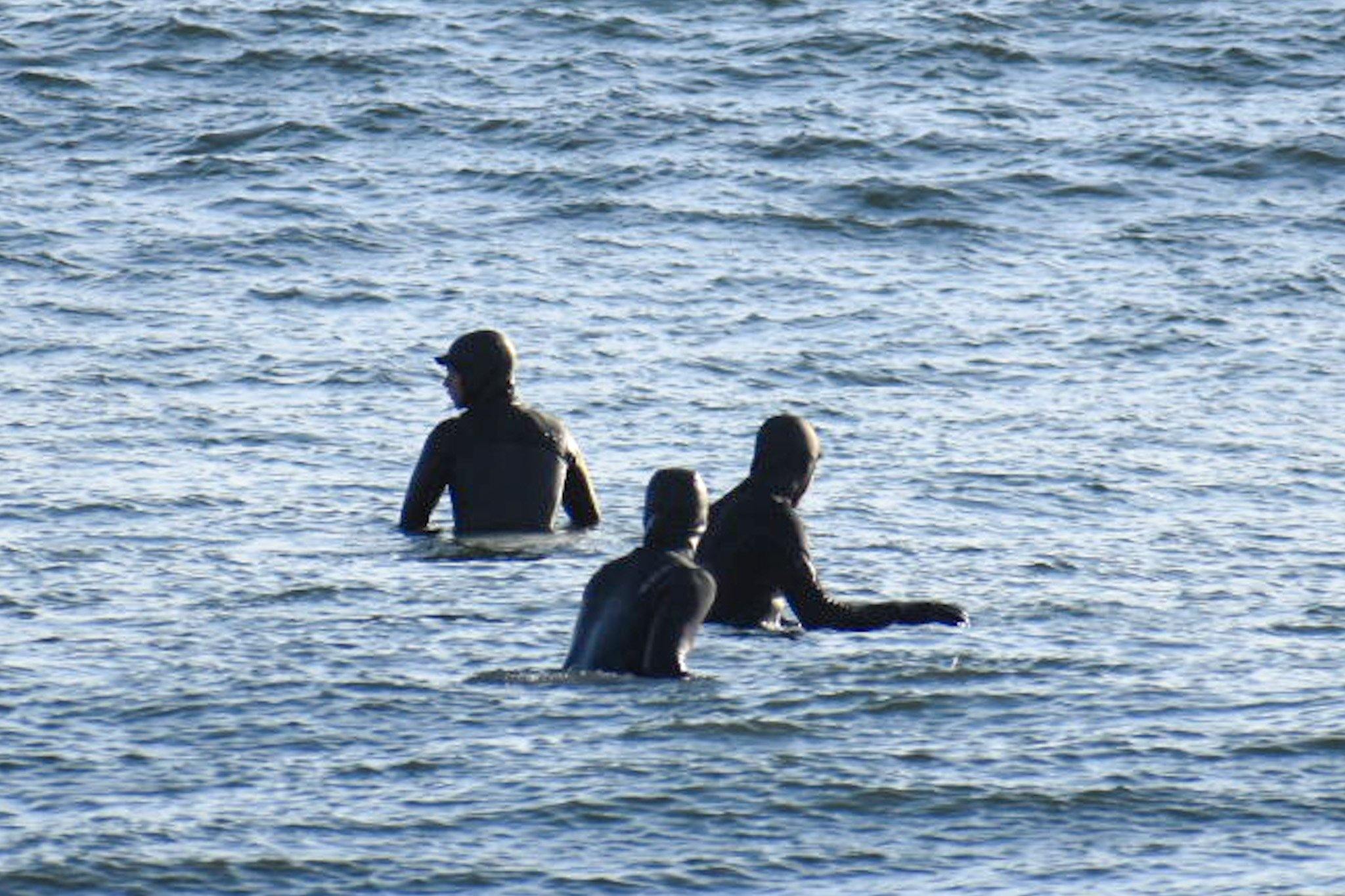 COVID, Crowds, & Cooperation - Urban Surf