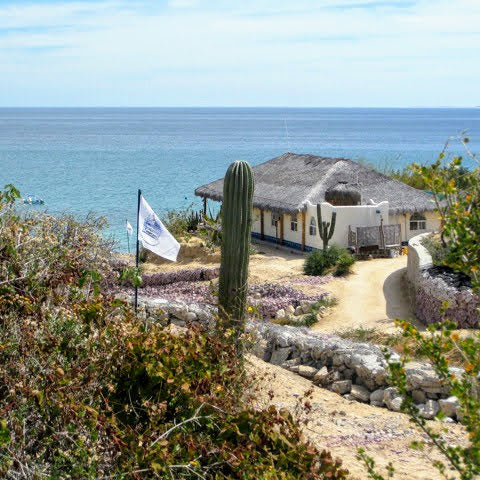 La Ventana - Palapas 2026