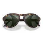 Treeline Tortoise Forest PC