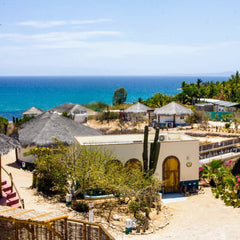 La Ventana - Palapas 2026