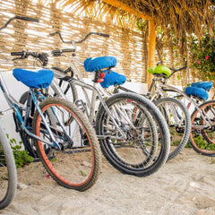 La Ventana - Palapas 2026