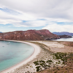 La Ventana - Liveaboard 2026