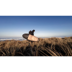 Pro-Lite Session Premium Fish/Mid-Length/Hybrid Bag