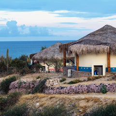 La Ventana - Palapas 2026