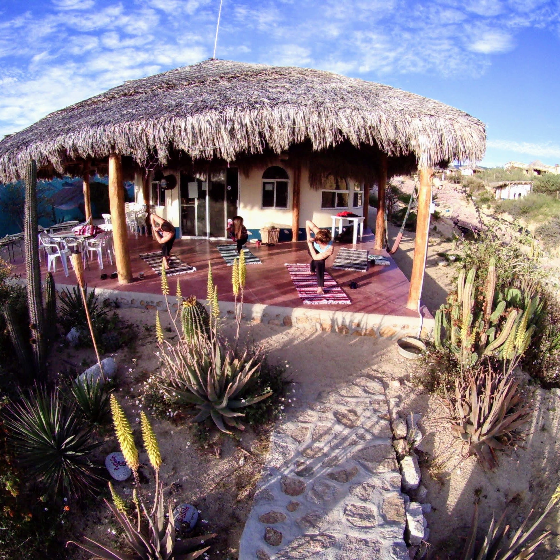 La Ventana - Palapas 2026