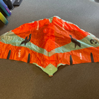 Used F-One Strike V4 Wing 3M