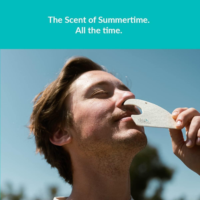 Mini Wave Air Freshener