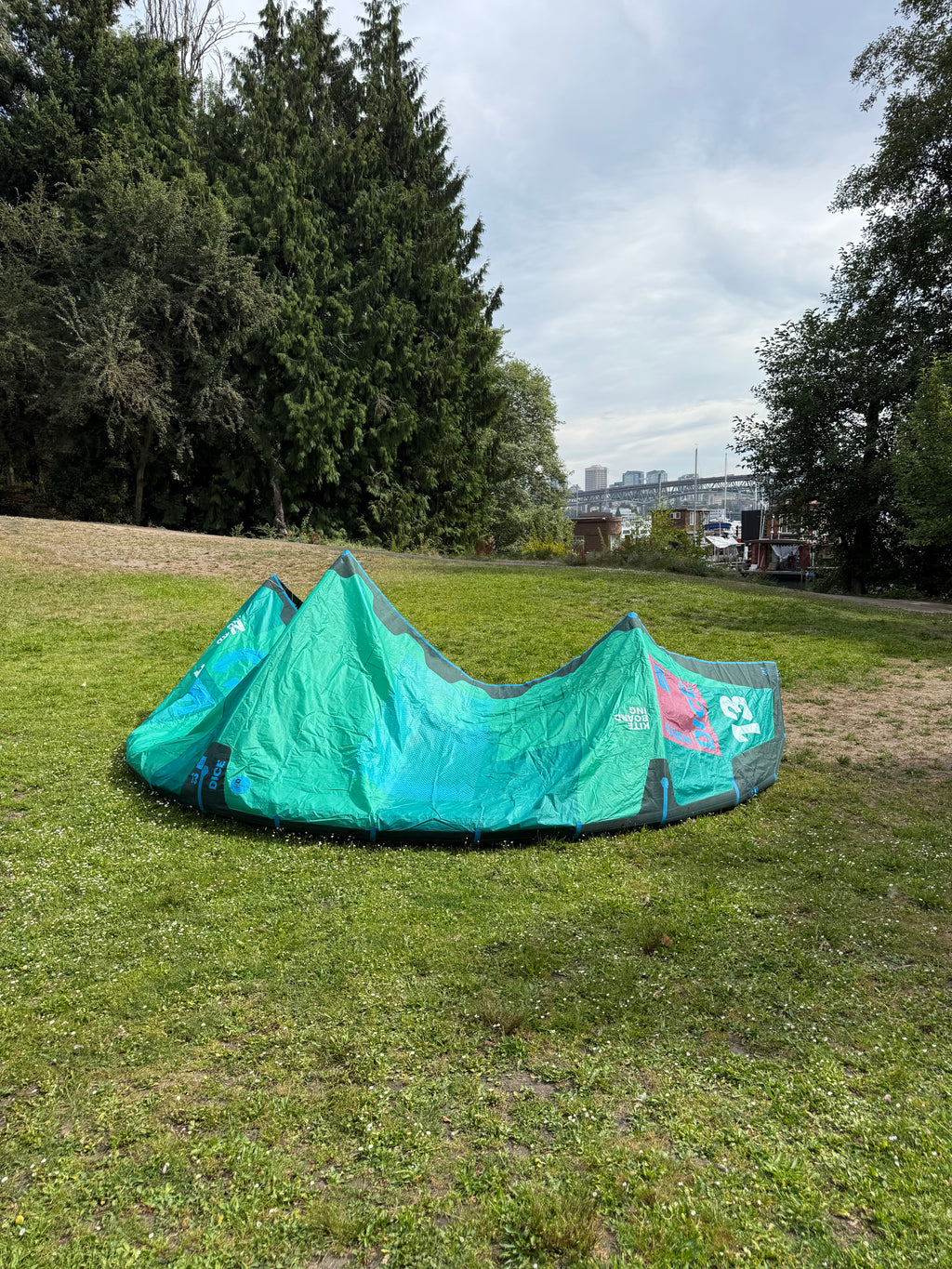 Used North Dice 13 Kite