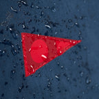 F1 Zero Airtex Boardshort