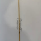 7'4" Skipper Stone (clear) - Murdey Surfboards 2026