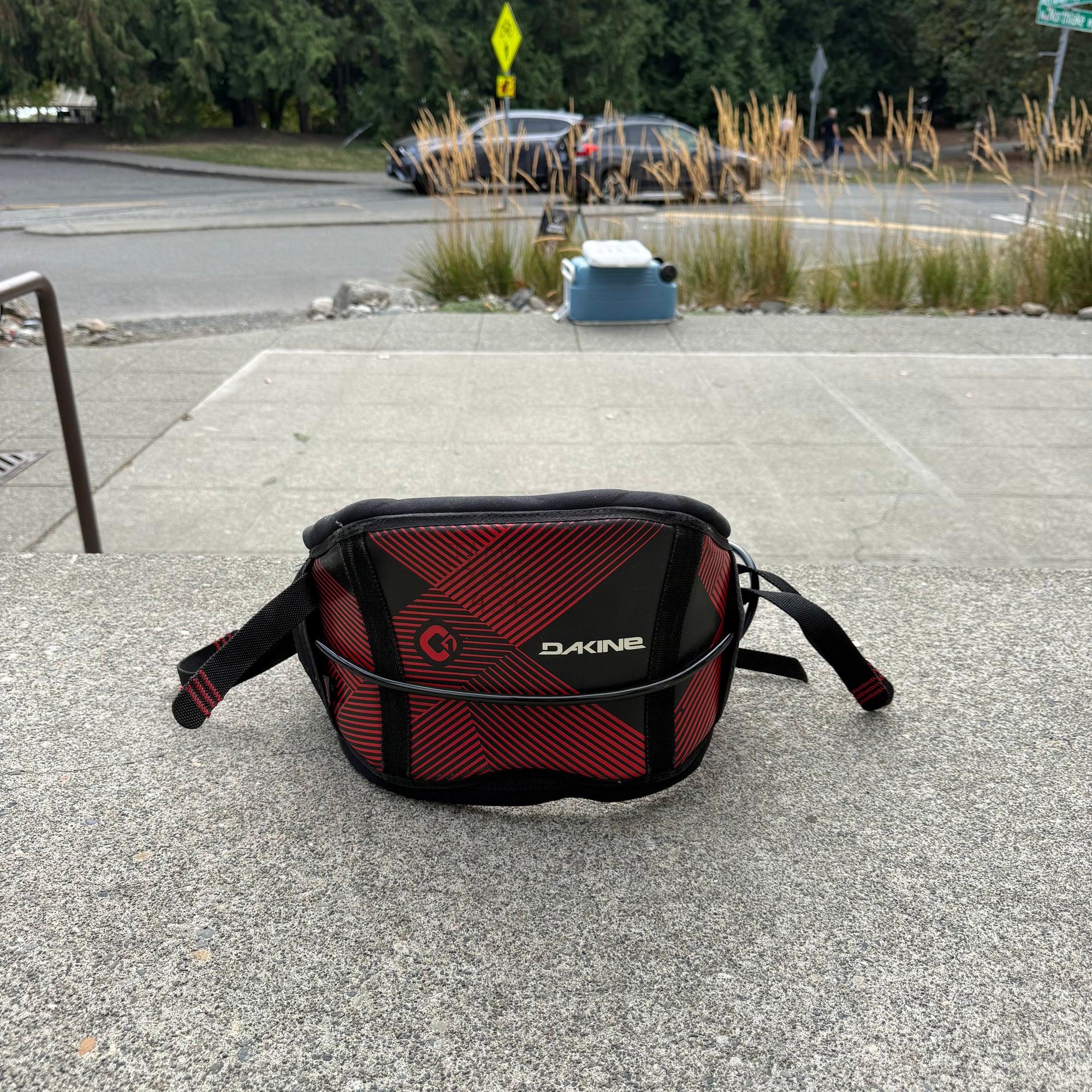 USED Dakine Harness