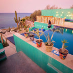 La Ventana - Palapas 2026