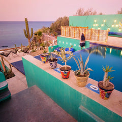 La Ventana - Palapas 2026