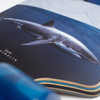 Sector 9 Meridian Rips Complete