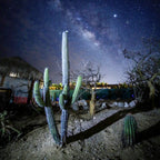 La Ventana - Palapas 2026