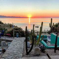 La Ventana - Palapas 2026