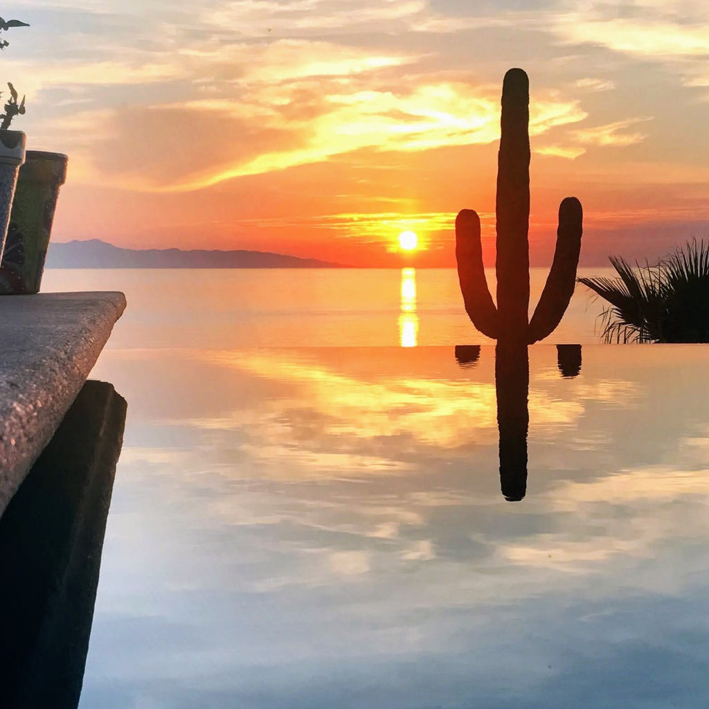 La Ventana - Palapas 2026