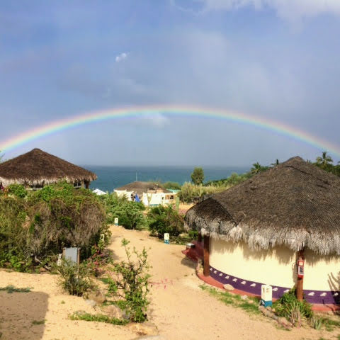 La Ventana - Palapas 2026