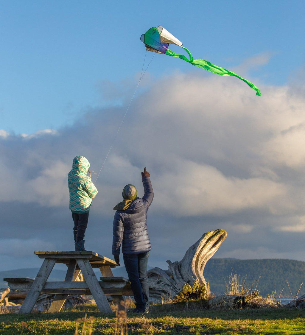 Pocket Flyer Prism Kite - Urban Surf