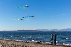 Pocket Flyer Prism Kite - Urban Surf