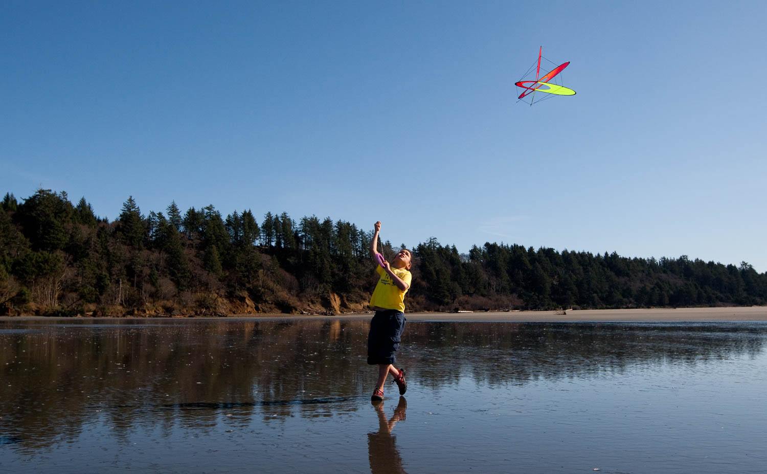 EO Atom Prism Kite - Urban Surf