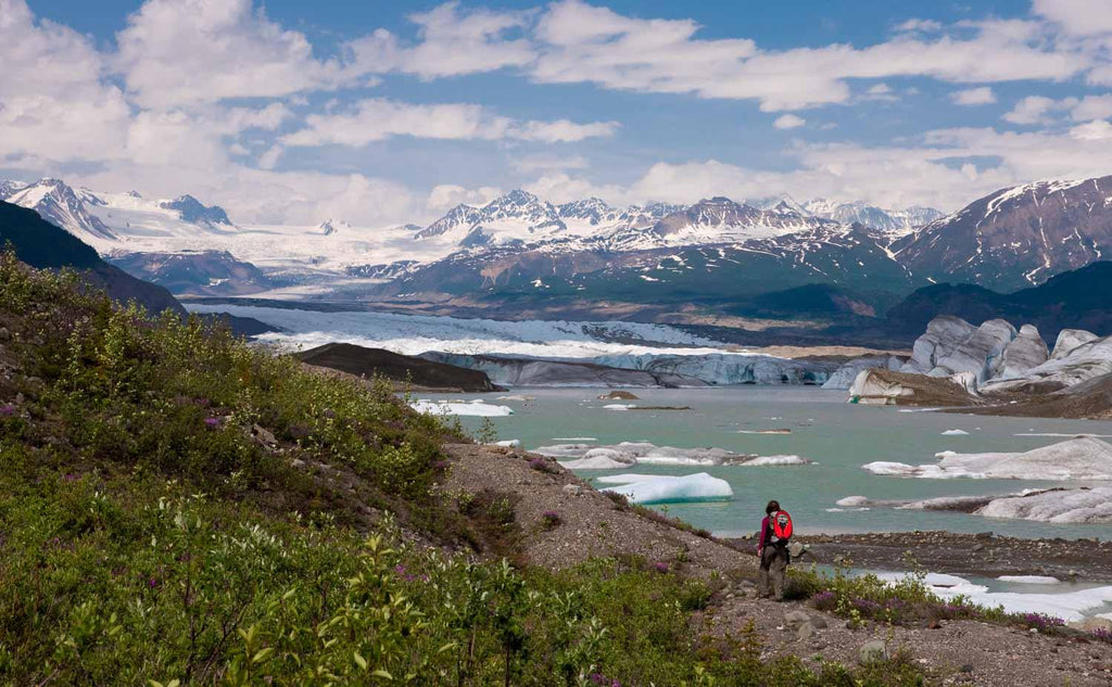 EO Atom Prism Kite - Urban Surf