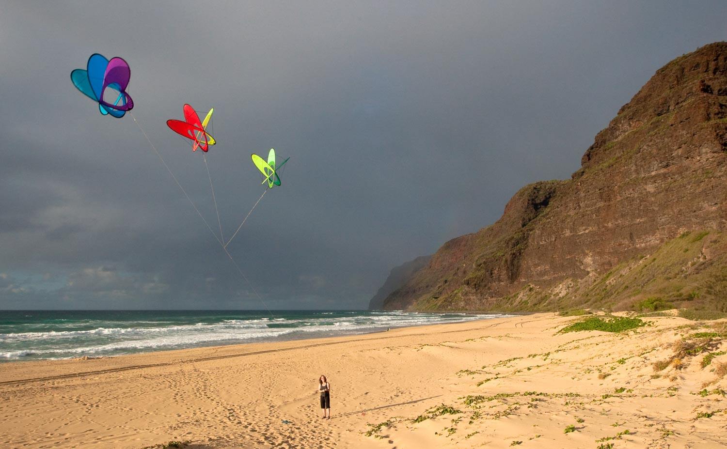 EO Atom Prism Kite - Urban Surf
